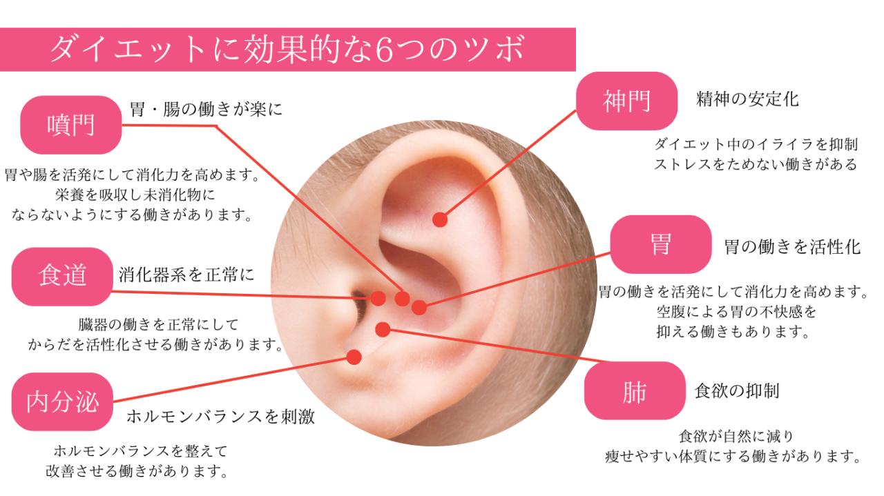 岐阜県で耳つぼダイエット！効率よく痩せるためのポイントと効果的なアプローチ