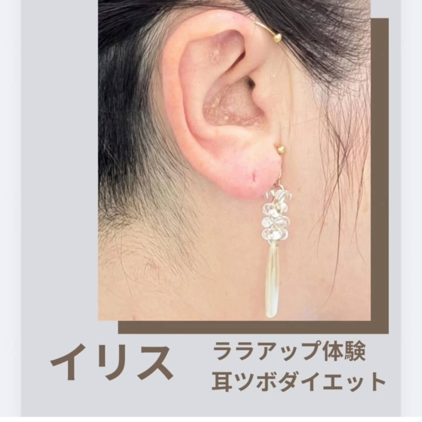 5月、6月の営業予定日になります！