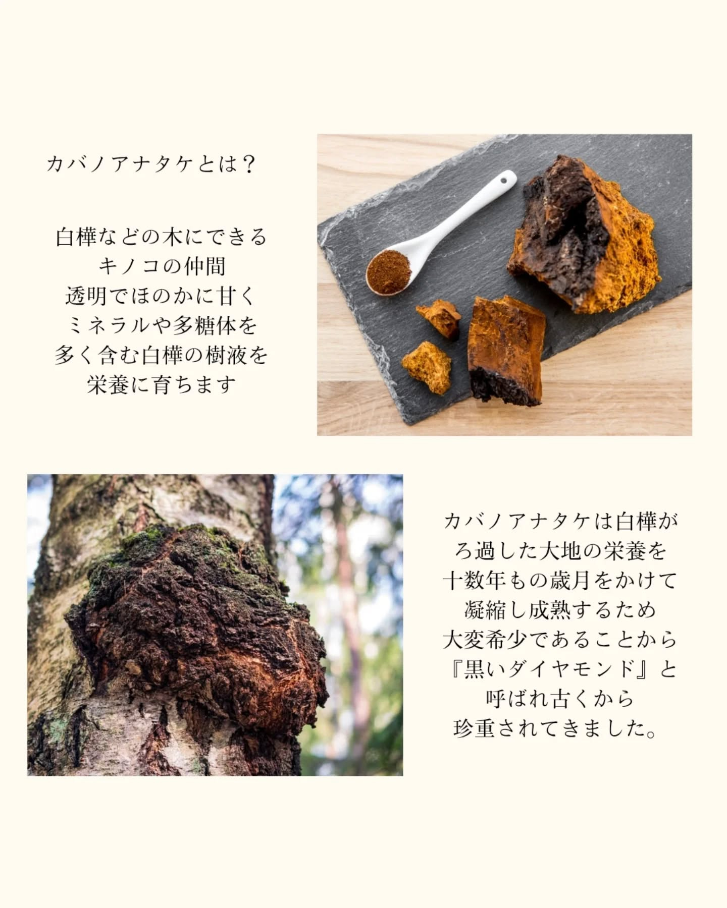 ＼自然の恵みで、肌が息をする／